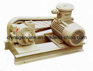 Zcheng LPG Vane Truck Pump with Motor